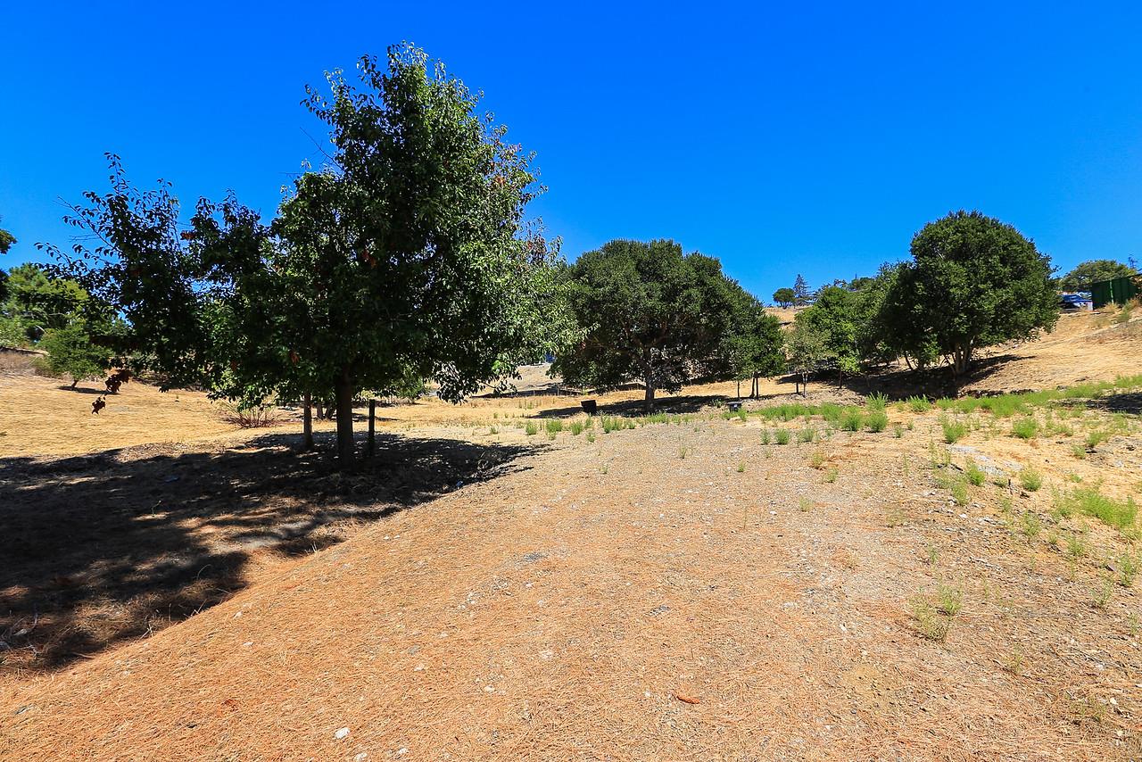 12815 Deer Creek Ln, Los Altos Hills, CA 94022 Beds Baths (Sold