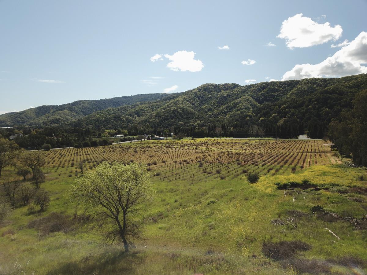 8265 B Watsonville Road, GILROY, California 95020, ,Lots And Land,For Sale,Watsonville Road,40963127