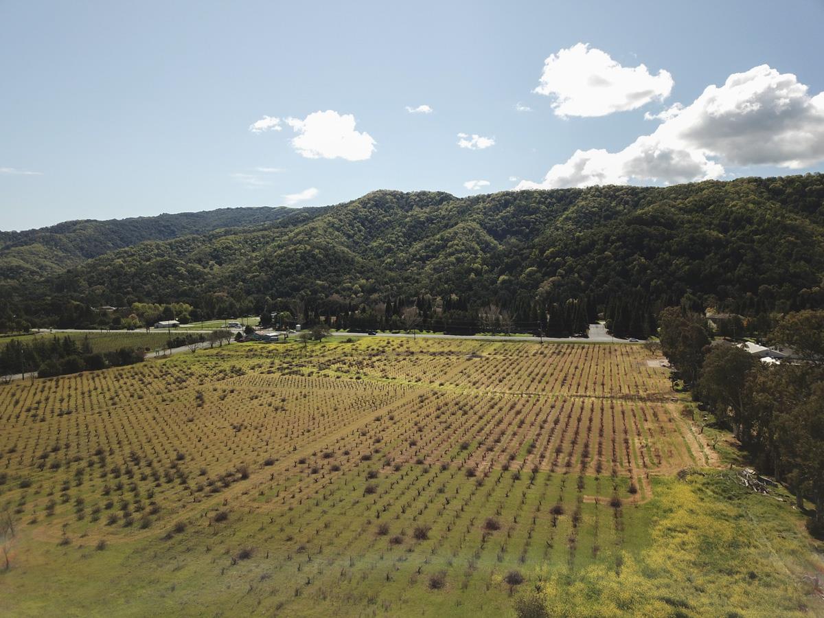 8265 B Watsonville Road, GILROY, California 95020, ,Lots And Land,For Sale,Watsonville Road,40963127