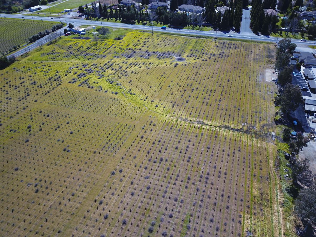 8265 B Watsonville Road, GILROY, California 95020, ,Lots And Land,For Sale,Watsonville Road,40963127