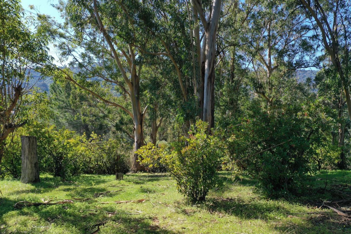 0 Hillview Drive, LOS GATOS, California 95030, ,Lots And Land,For Sale,Hillview Drive,40964699