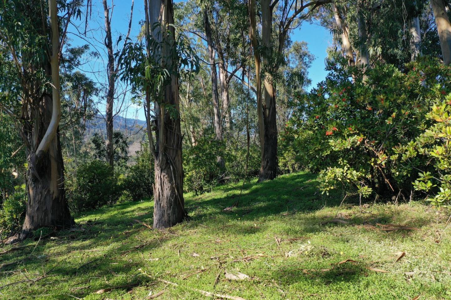 0 Hillview Drive, LOS GATOS, California 95030, ,Lots And Land,For Sale,Hillview Drive,40964699