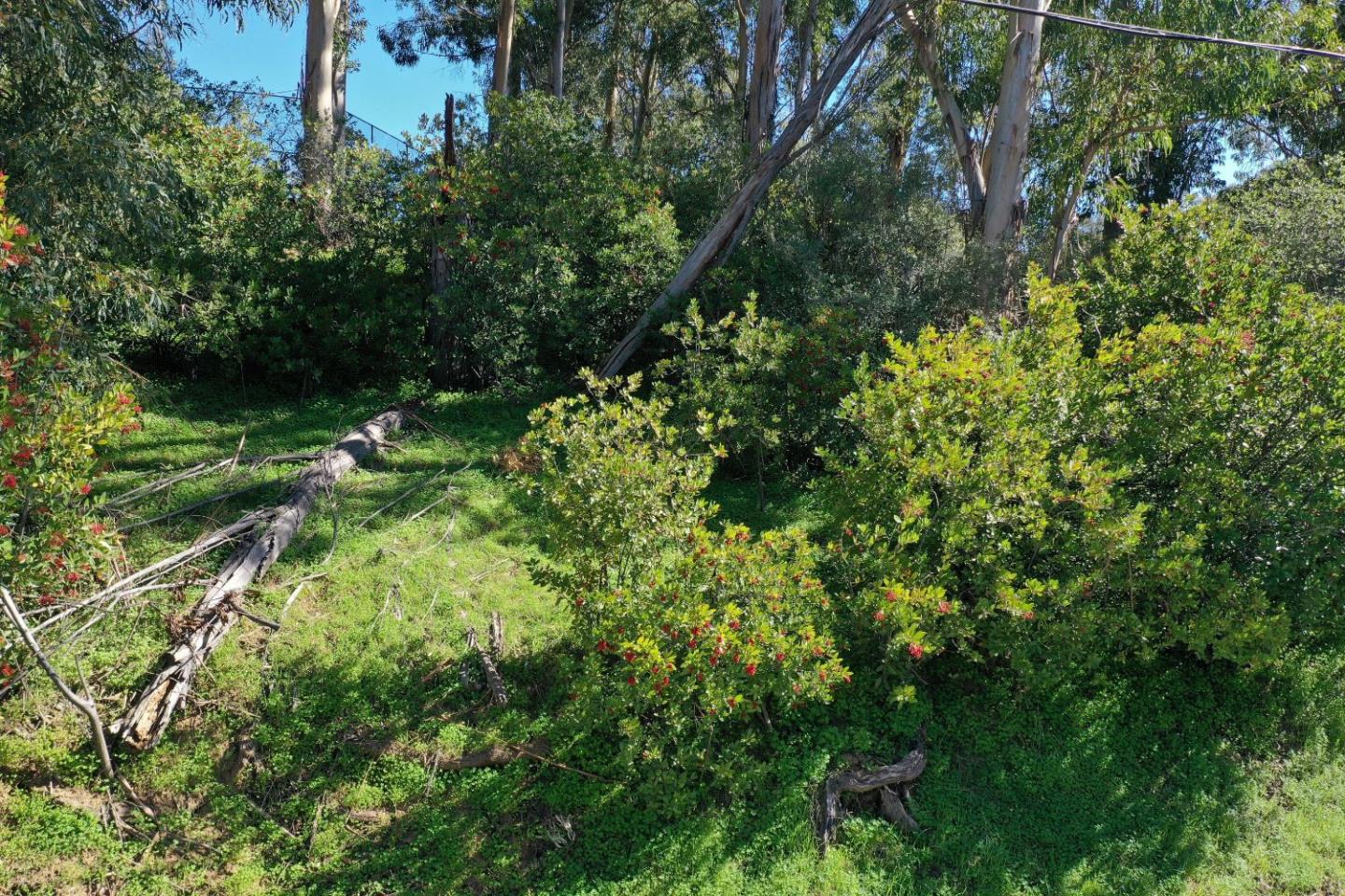 0 Hillview Drive, LOS GATOS, California 95030, ,Lots And Land,For Sale,Hillview Drive,40964699