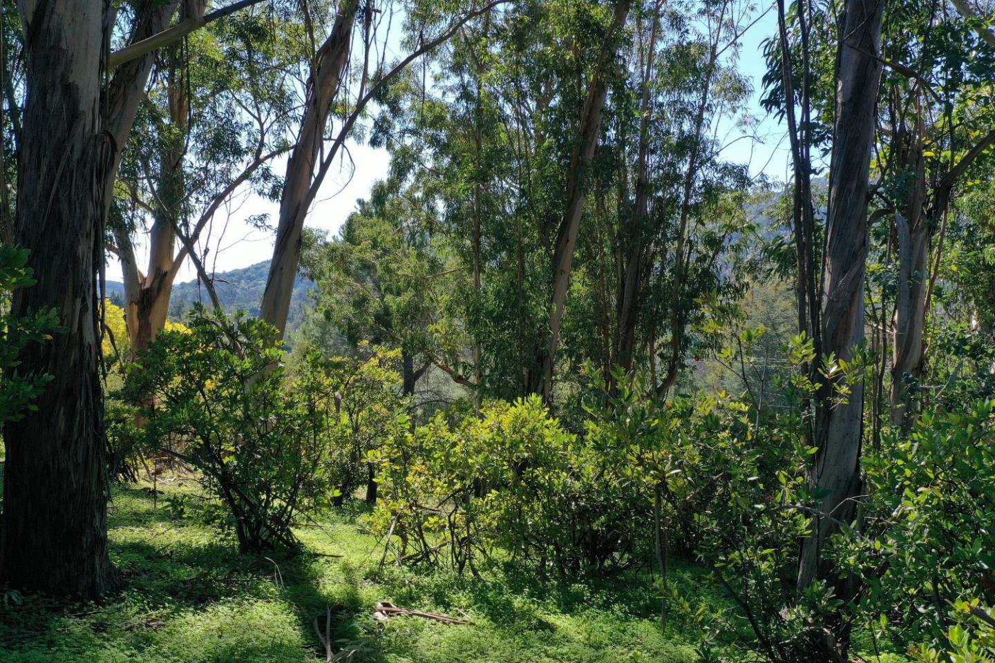 0 Hillview Drive, LOS GATOS, California 95030, ,Lots And Land,For Sale,Hillview Drive,40964699