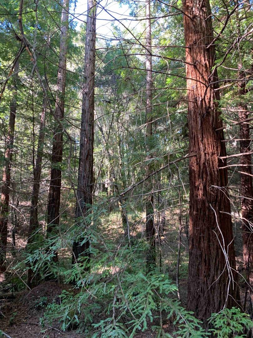 0 Blair, BOULDER CREEK, California 95006, ,Lots And Land,For Sale,Blair,40963061