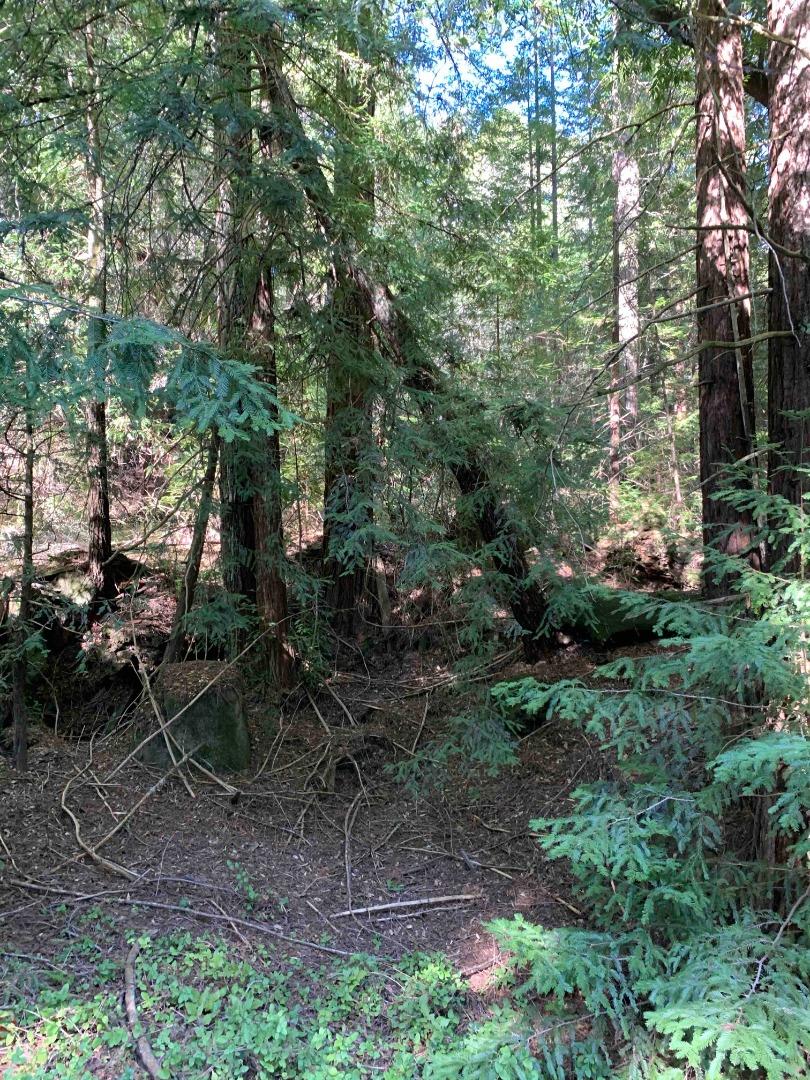 0 Blair, BOULDER CREEK, California 95006, ,Lots And Land,For Sale,Blair,40963061