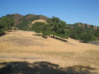 0 Oak Glen Avenue, MORGAN HILL, California 95037, ,Lots And Land,For Sale,Oak Glen Avenue,40962032