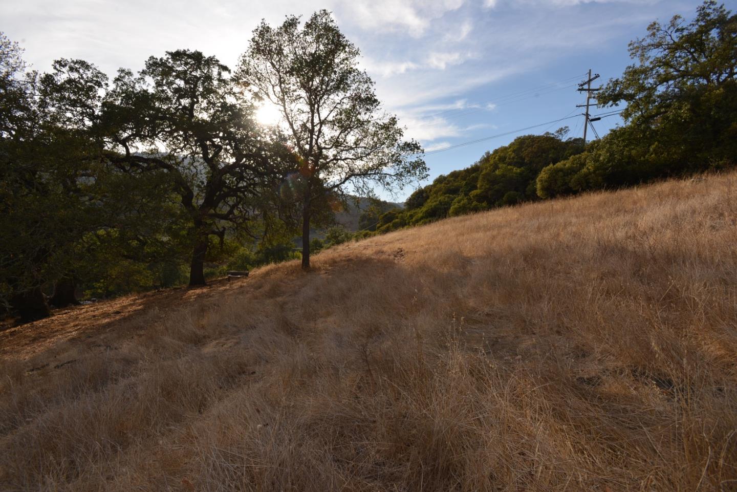 0 Oak Glen Avenue, MORGAN HILL, California 95037, ,Lots And Land,For Sale,Oak Glen Avenue,40962032
