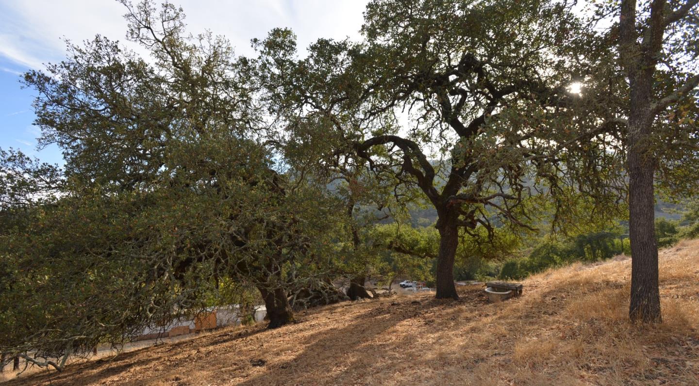 0 Oak Glen Avenue, MORGAN HILL, California 95037, ,Lots And Land,For Sale,Oak Glen Avenue,40962032