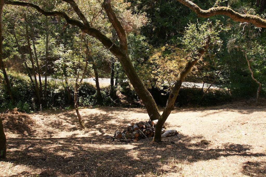 0 Robinson Canyon Road, CARMEL VALLEY, California 93923, ,Lots And Land,For Sale,Robinson Canyon Road,40963254