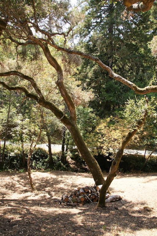 0 Robinson Canyon Road, CARMEL VALLEY, California 93923, ,Lots And Land,For Sale,Robinson Canyon Road,40963254