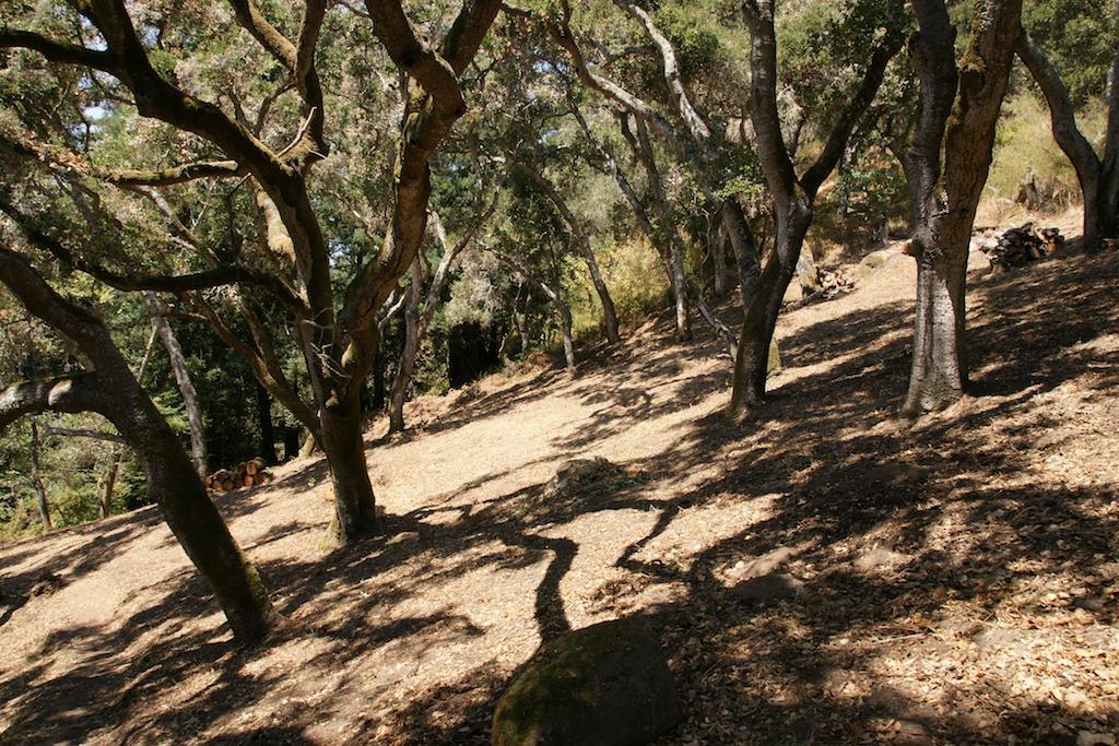 0 Robinson Canyon Road, CARMEL VALLEY, California 93923, ,Lots And Land,For Sale,Robinson Canyon Road,40963254