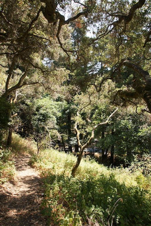 0 Robinson Canyon Road, CARMEL VALLEY, California 93923, ,Lots And Land,For Sale,Robinson Canyon Road,40963254