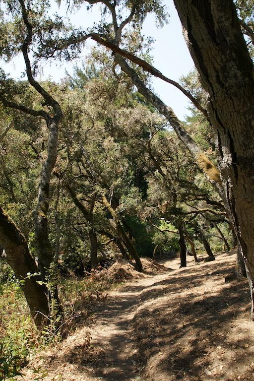 0 Robinson Canyon Road, CARMEL VALLEY, California 93923, ,Lots And Land,For Sale,Robinson Canyon Road,40963254