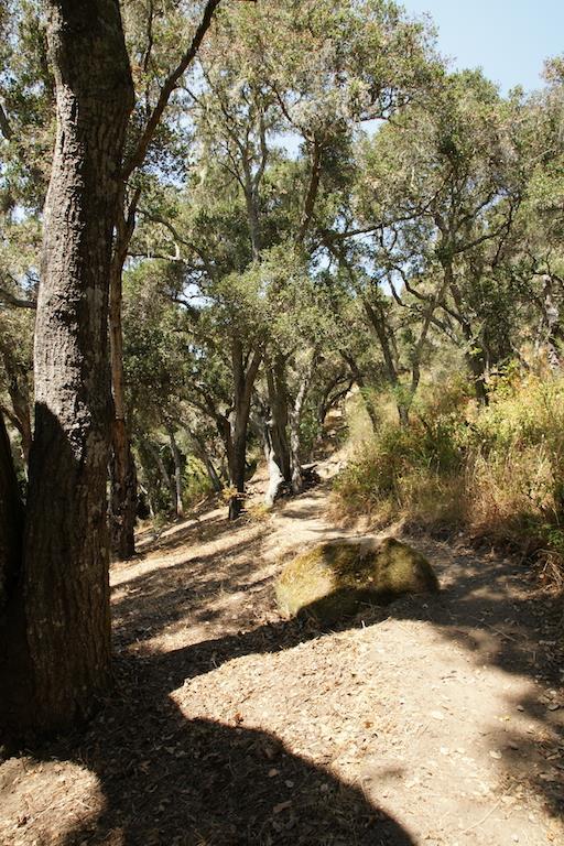 0 Robinson Canyon Road, CARMEL VALLEY, California 93923, ,Lots And Land,For Sale,Robinson Canyon Road,40963254