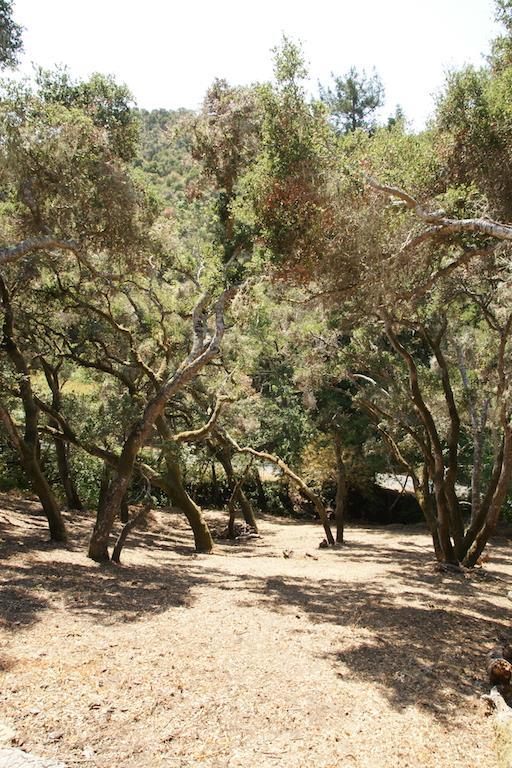 0 Robinson Canyon Road, CARMEL VALLEY, California 93923, ,Lots And Land,For Sale,Robinson Canyon Road,40963254
