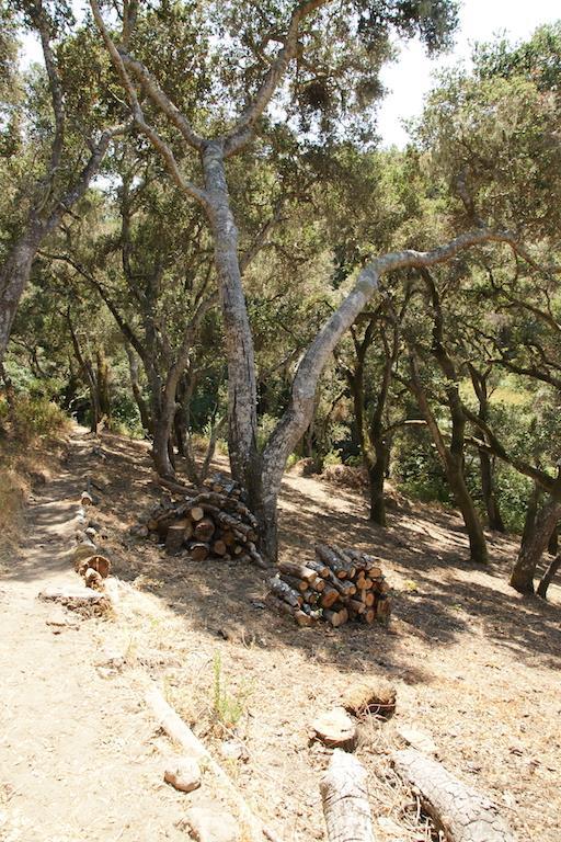 0 Robinson Canyon Road, CARMEL VALLEY, California 93923, ,Lots And Land,For Sale,Robinson Canyon Road,40963254