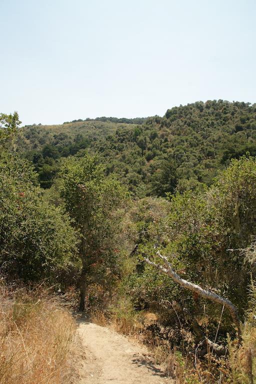 0 Robinson Canyon Road, CARMEL VALLEY, California 93923, ,Lots And Land,For Sale,Robinson Canyon Road,40963254