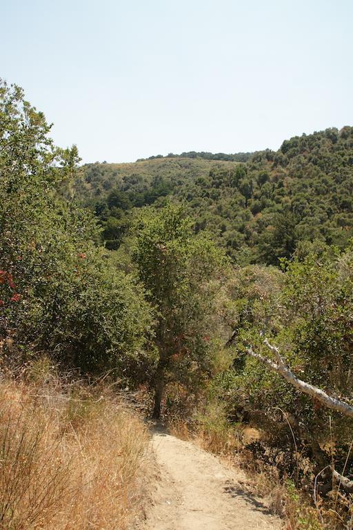 0 Robinson Canyon Road, CARMEL VALLEY, California 93923, ,Lots And Land,For Sale,Robinson Canyon Road,40963254