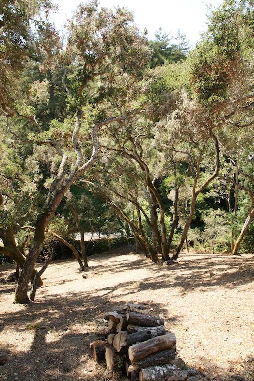 0 Robinson Canyon Road, CARMEL VALLEY, California 93923, ,Lots And Land,For Sale,Robinson Canyon Road,40963254