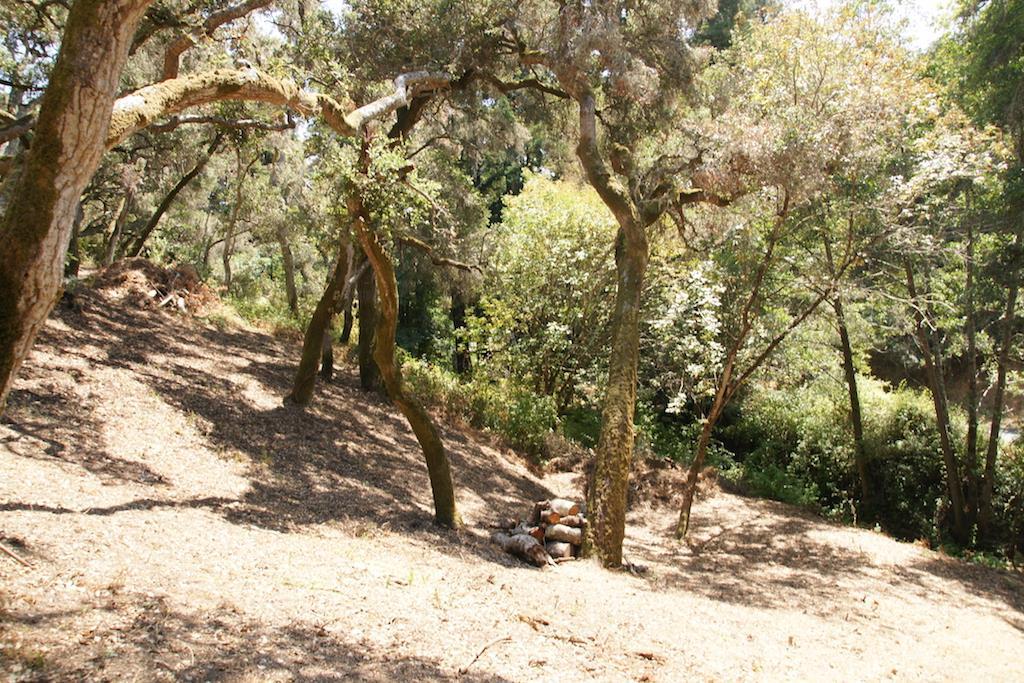0 Robinson Canyon Road, CARMEL VALLEY, California 93923, ,Lots And Land,For Sale,Robinson Canyon Road,40963254