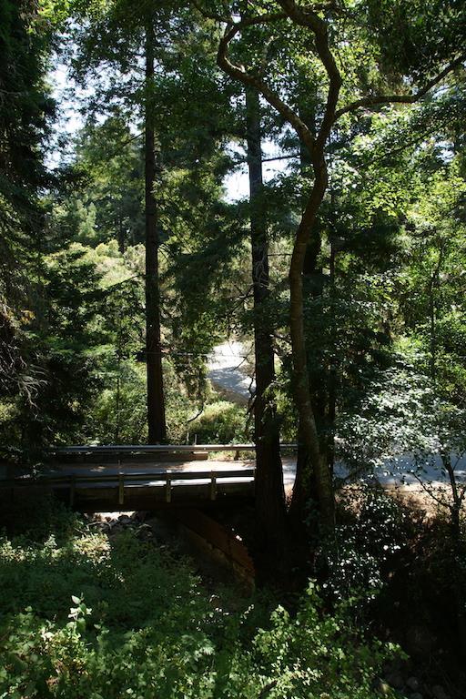 0 Robinson Canyon Road, CARMEL VALLEY, California 93923, ,Lots And Land,For Sale,Robinson Canyon Road,40963254