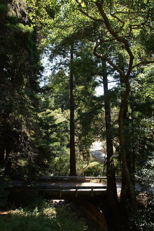 0 Robinson Canyon Road, CARMEL VALLEY, California 93923, ,Lots And Land,For Sale,Robinson Canyon Road,40963254