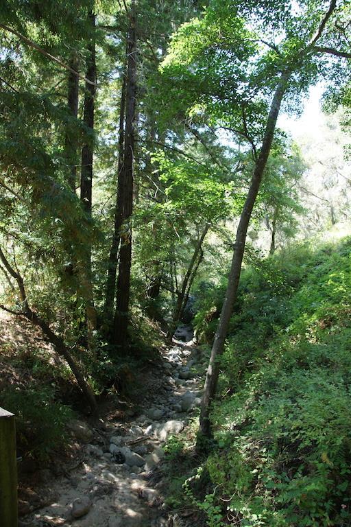 0 Robinson Canyon Road, CARMEL VALLEY, California 93923, ,Lots And Land,For Sale,Robinson Canyon Road,40963254