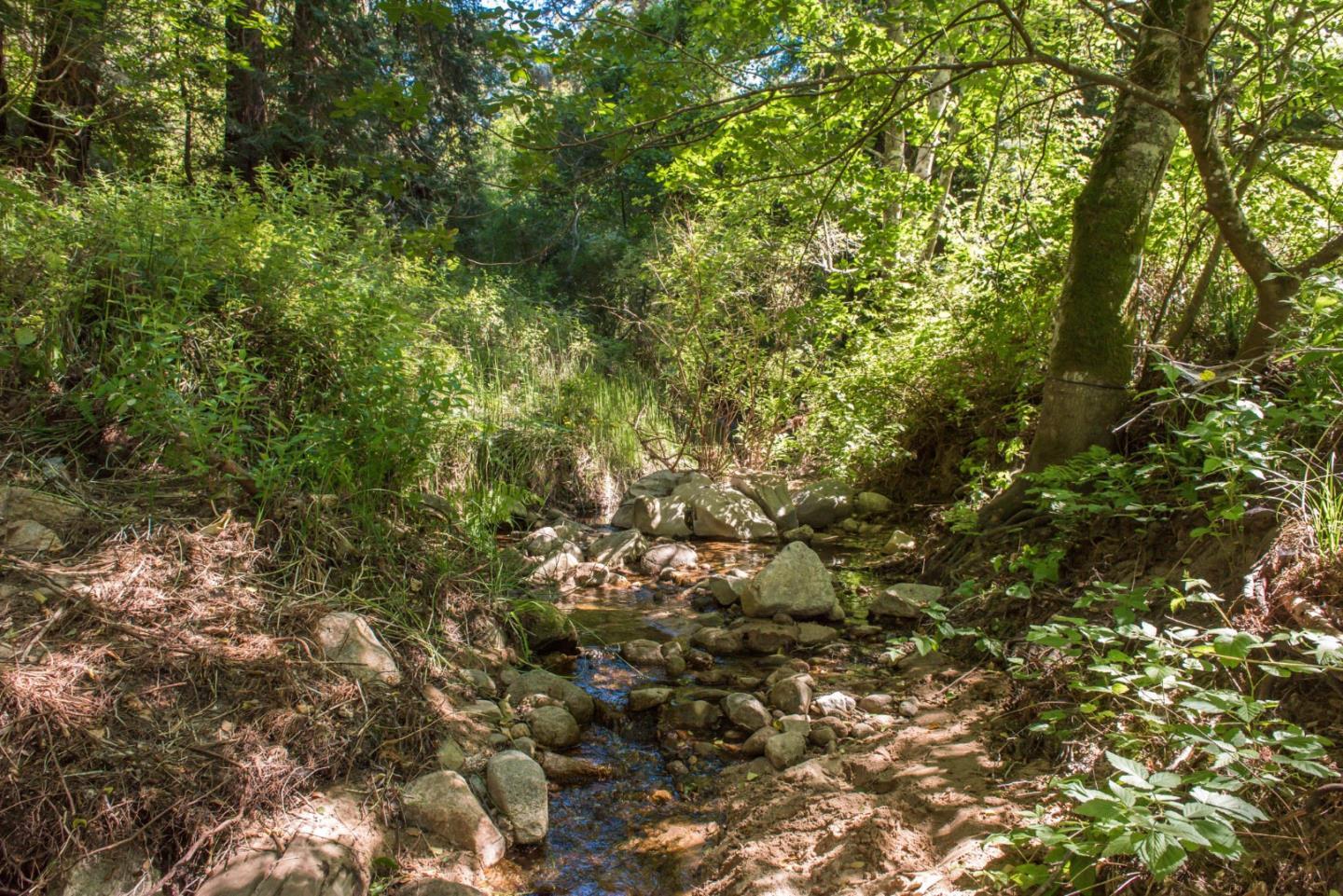 0 Robinson Canyon Road, CARMEL VALLEY, California 93923, ,Lots And Land,For Sale,Robinson Canyon Road,40963254