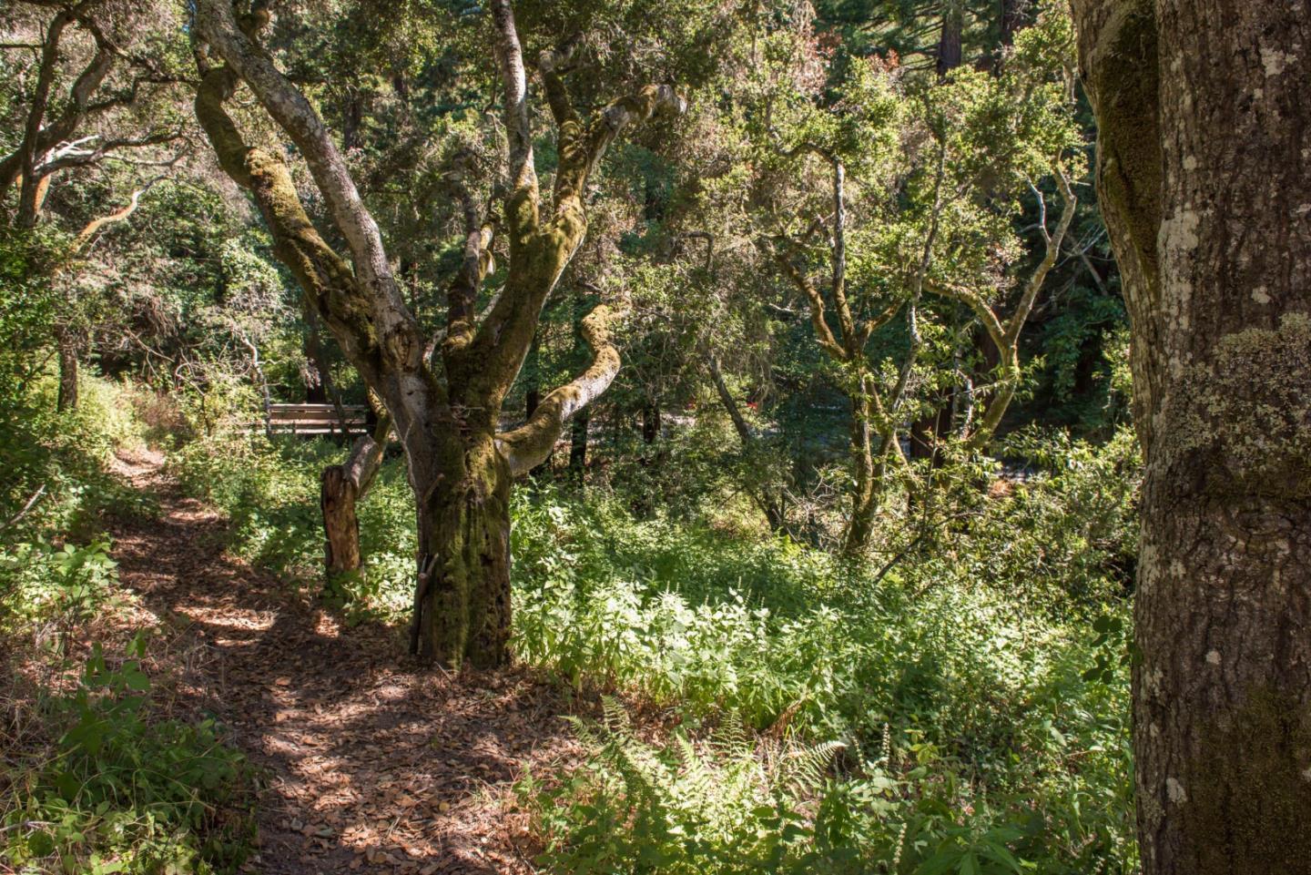 0 Robinson Canyon Road, CARMEL VALLEY, California 93923, ,Lots And Land,For Sale,Robinson Canyon Road,40963254