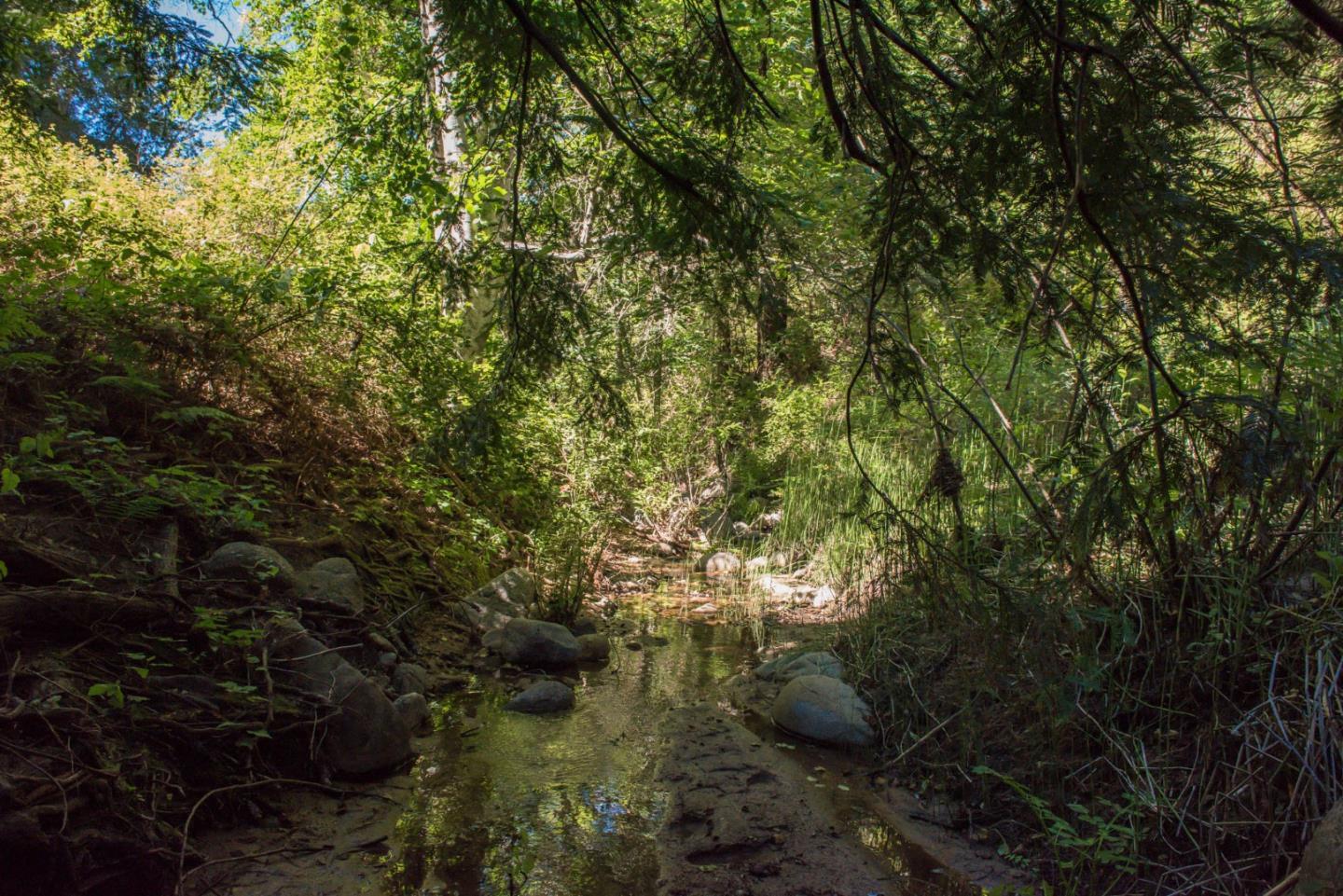 0 Robinson Canyon Road, CARMEL VALLEY, California 93923, ,Lots And Land,For Sale,Robinson Canyon Road,40963254