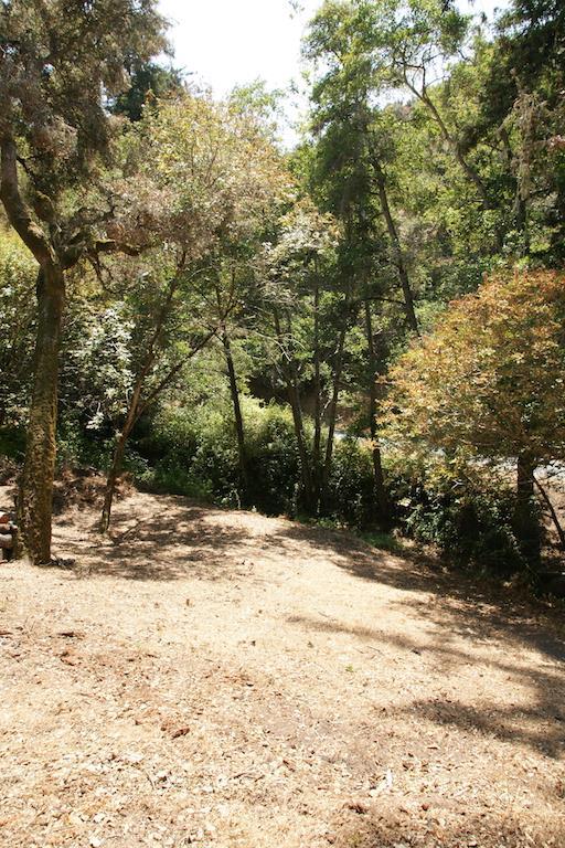 0 Robinson Canyon Road, CARMEL VALLEY, California 93923, ,Lots And Land,For Sale,Robinson Canyon Road,40963254