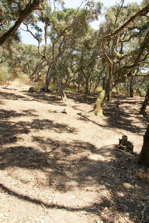 0 Robinson Canyon Road, CARMEL VALLEY, California 93923, ,Lots And Land,For Sale,Robinson Canyon Road,40963254