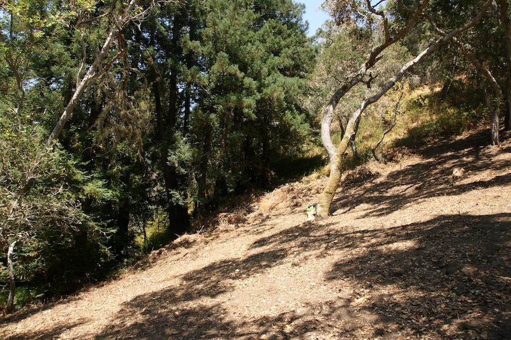 0 Robinson Canyon Road, CARMEL VALLEY, California 93923, ,Lots And Land,For Sale,Robinson Canyon Road,40963254