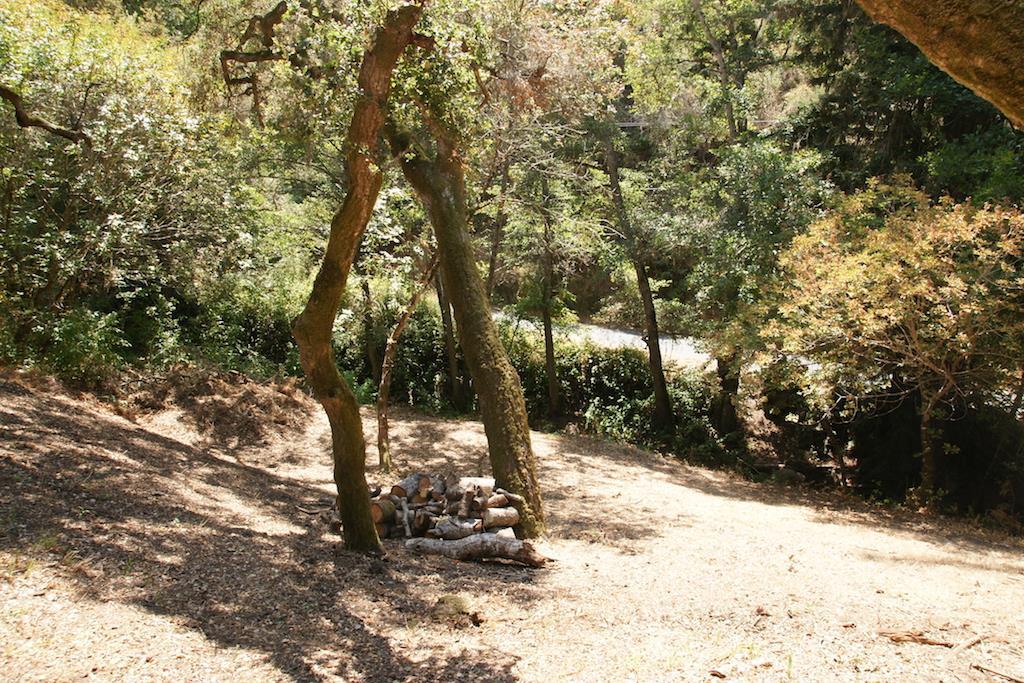 0 Robinson Canyon Road, CARMEL VALLEY, California 93923, ,Lots And Land,For Sale,Robinson Canyon Road,40963254