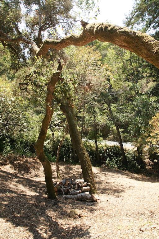 0 Robinson Canyon Road, CARMEL VALLEY, California 93923, ,Lots And Land,For Sale,Robinson Canyon Road,40963254