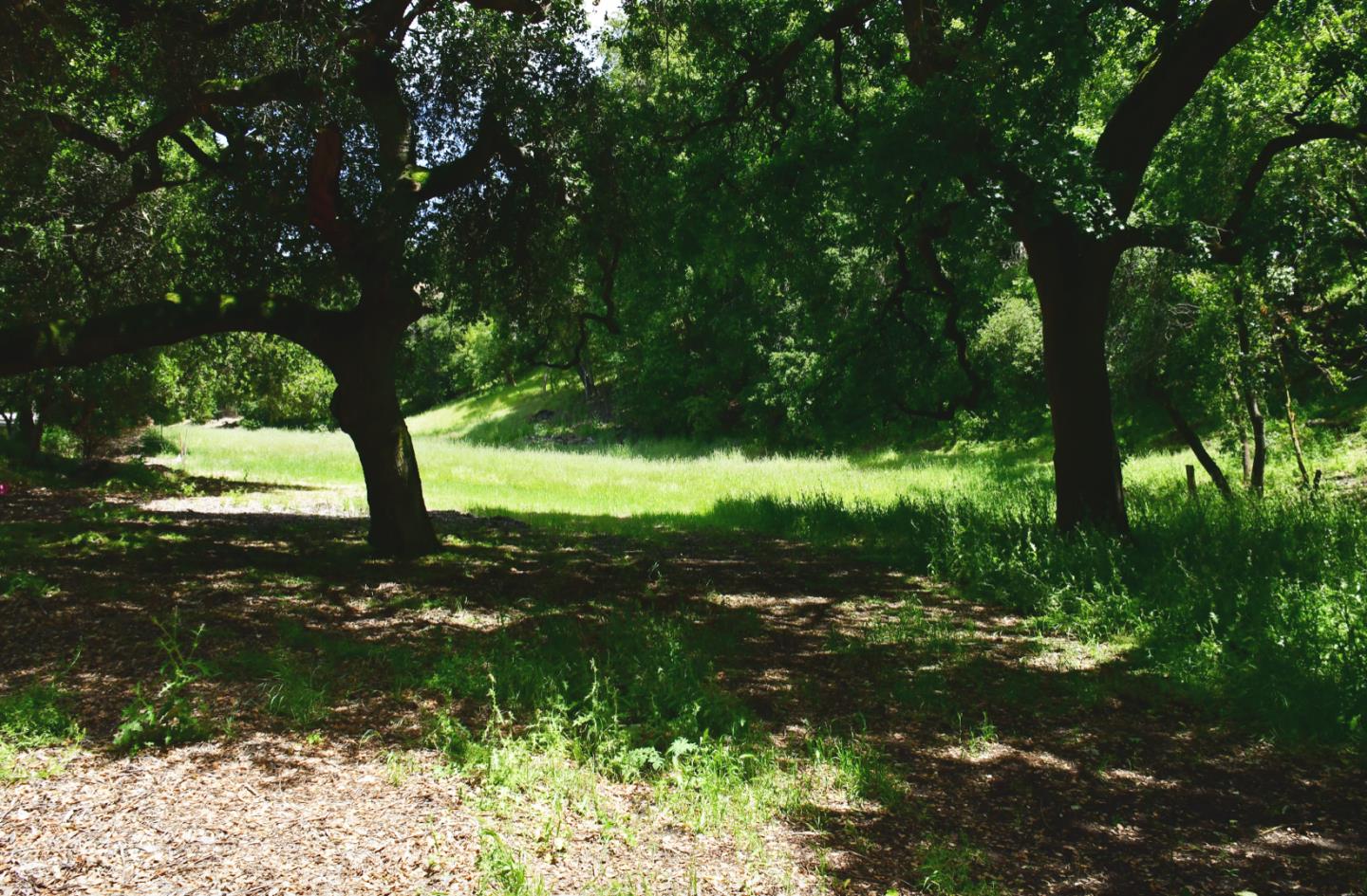 4219 Jefferson Avenue, WOODSIDE, California 94062, ,Lots And Land,For Sale,Jefferson Avenue,40967407