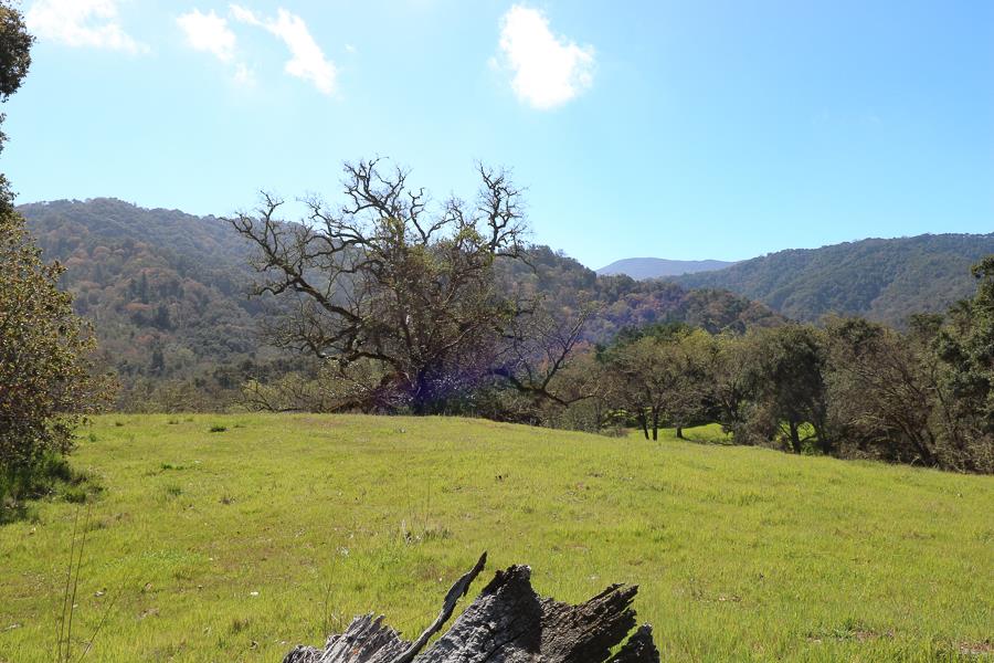 27 Arroyo Sequoia, CARMEL, California 93923, ,Lots And Land,For Sale,Arroyo Sequoia,40963612