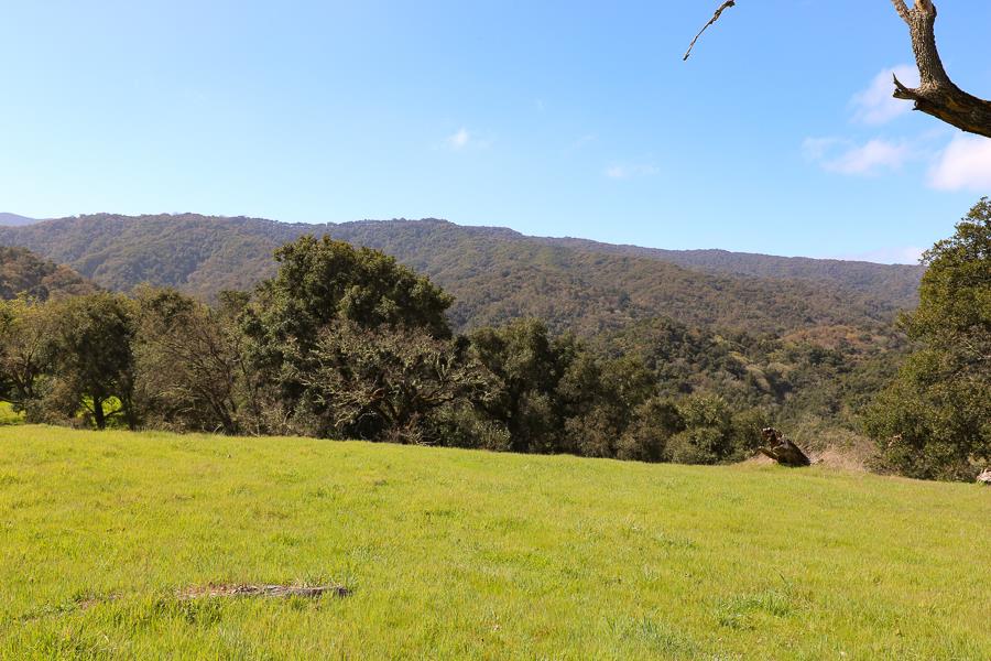 27 Arroyo Sequoia, CARMEL, California 93923, ,Lots And Land,For Sale,Arroyo Sequoia,40963612