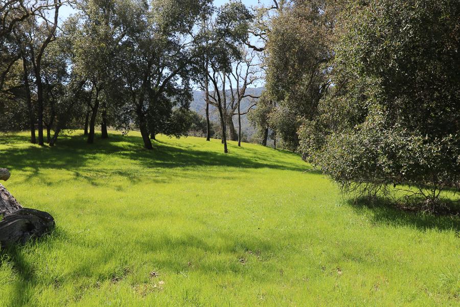 27 Arroyo Sequoia, CARMEL, California 93923, ,Lots And Land,For Sale,Arroyo Sequoia,40963612