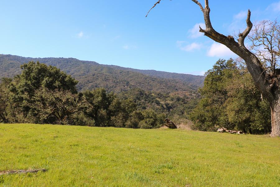 27 Arroyo Sequoia, CARMEL, California 93923, ,Lots And Land,For Sale,Arroyo Sequoia,40963612