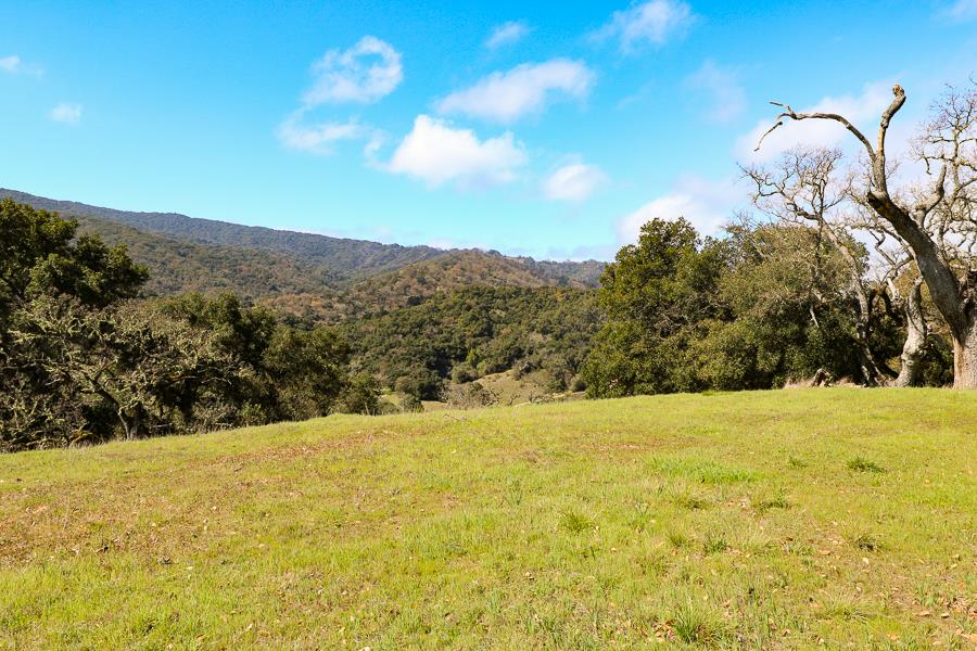 27 Arroyo Sequoia, CARMEL, California 93923, ,Lots And Land,For Sale,Arroyo Sequoia,40963612