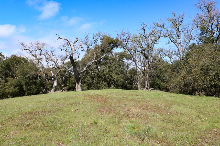 27 Arroyo Sequoia, CARMEL, California 93923, ,Lots And Land,For Sale,Arroyo Sequoia,40963612