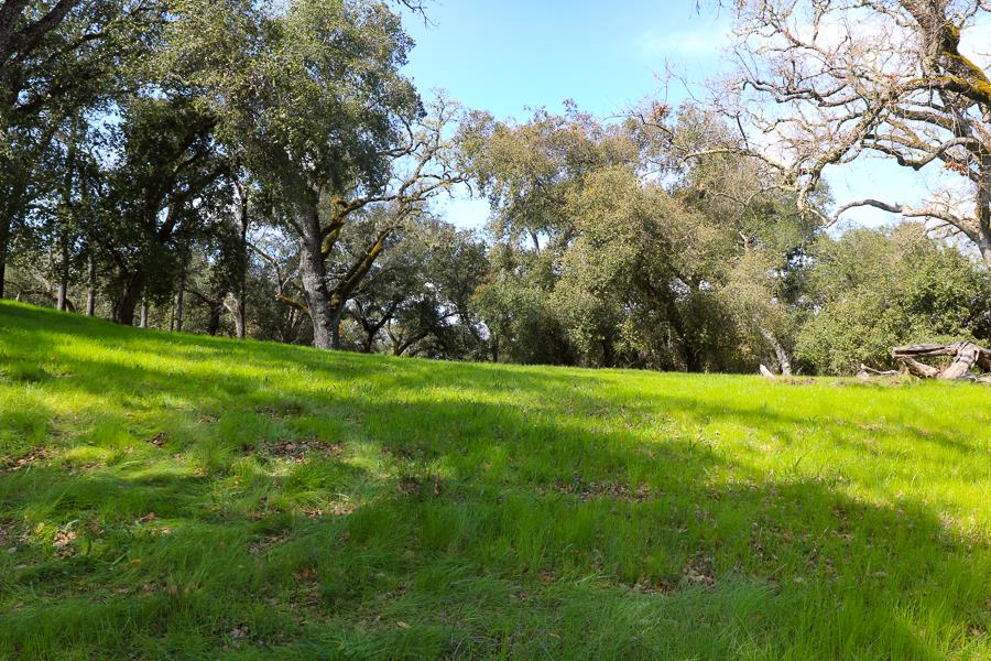 27 Arroyo Sequoia, CARMEL, California 93923, ,Lots And Land,For Sale,Arroyo Sequoia,40963612