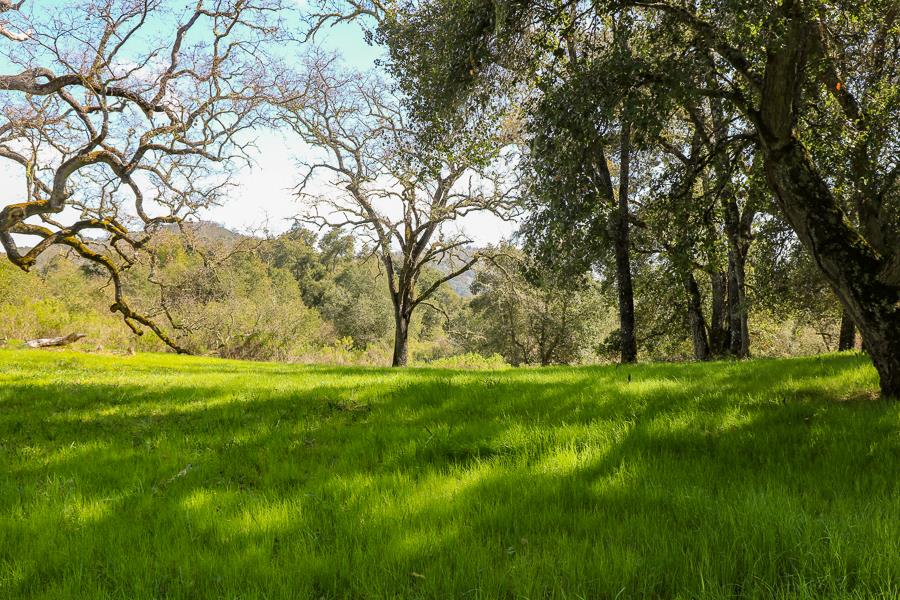 27 Arroyo Sequoia, CARMEL, California 93923, ,Lots And Land,For Sale,Arroyo Sequoia,40963612