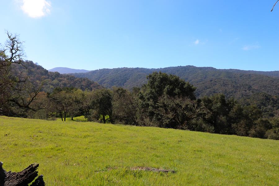 27 Arroyo Sequoia, CARMEL, California 93923, ,Lots And Land,For Sale,Arroyo Sequoia,40963612