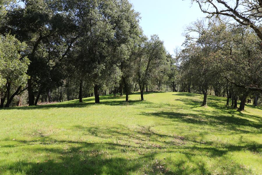 33 Arroyo Sequoia, CARMEL, California 93923, ,Lots And Land,For Sale,Arroyo Sequoia,40963613