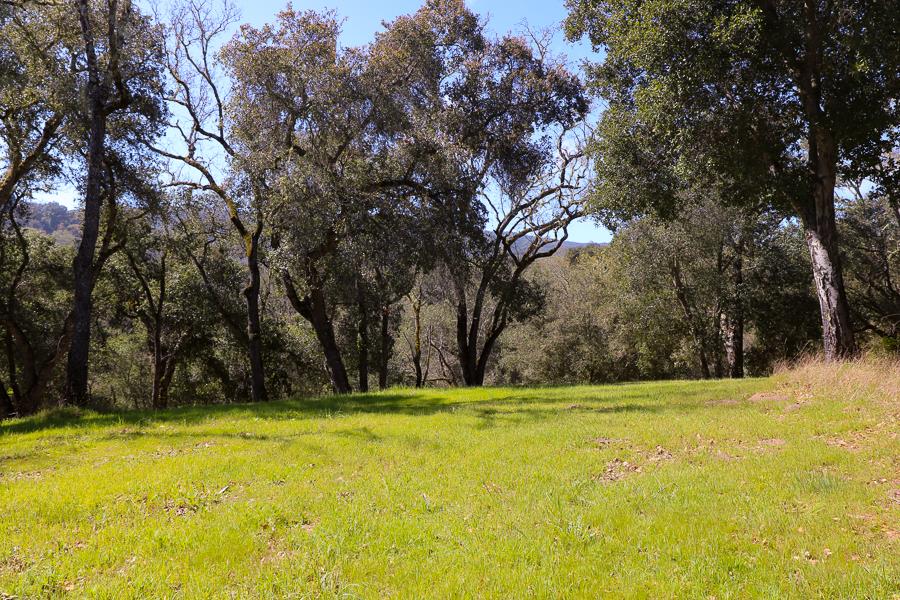 33 Arroyo Sequoia, CARMEL, California 93923, ,Lots And Land,For Sale,Arroyo Sequoia,40963613
