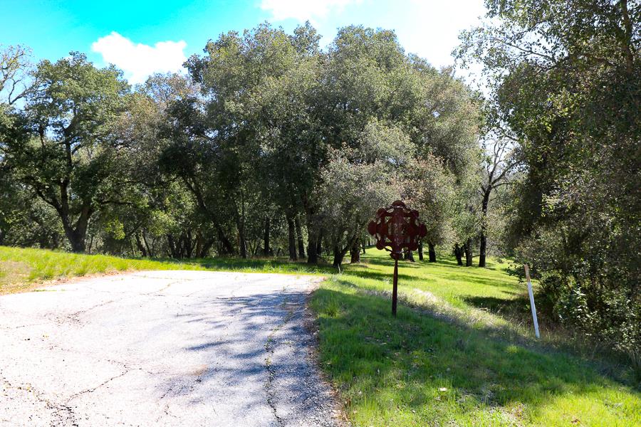33 Arroyo Sequoia, CARMEL, California 93923, ,Lots And Land,For Sale,Arroyo Sequoia,40963613