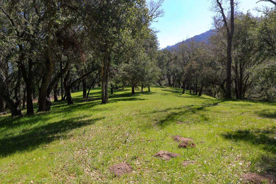 33 Arroyo Sequoia, CARMEL, California 93923, ,Lots And Land,For Sale,Arroyo Sequoia,40963613